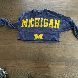 Blue Michigan Crop Top